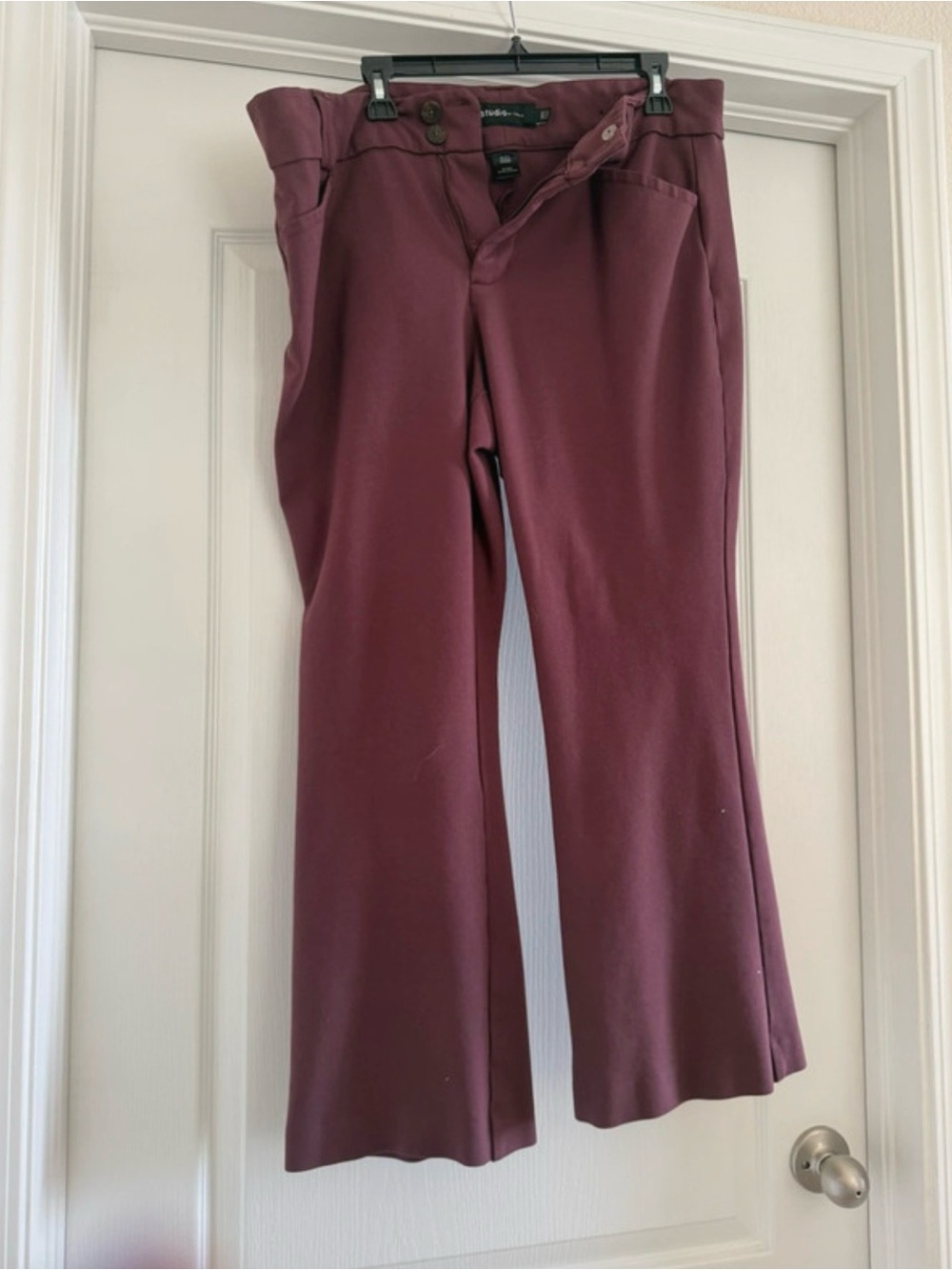 torrid Plum Boot Cut Pants